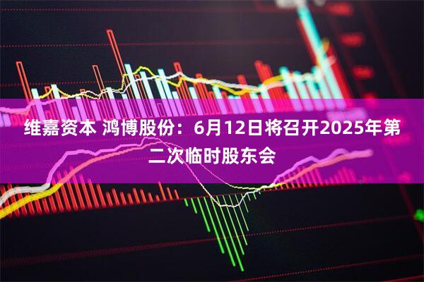 维嘉资本 鸿博股份：6月12日将召开2025年第二次临时股东会