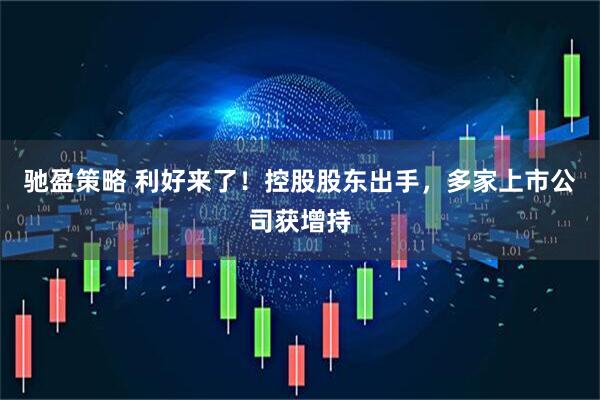 驰盈策略 利好来了！控股股东出手，多家上市公司获增持