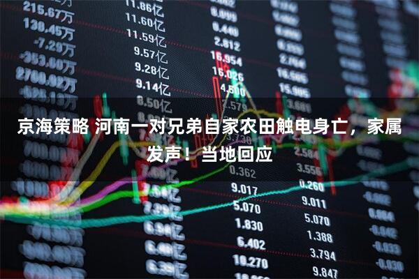 京海策略 河南一对兄弟自家农田触电身亡，家属发声！当地回应