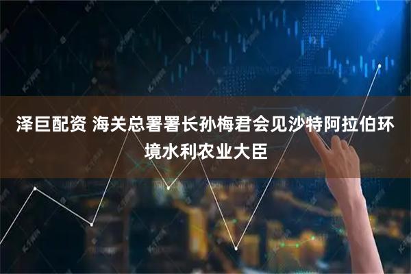 泽巨配资 海关总署署长孙梅君会见沙特阿拉伯环境水利农业大臣