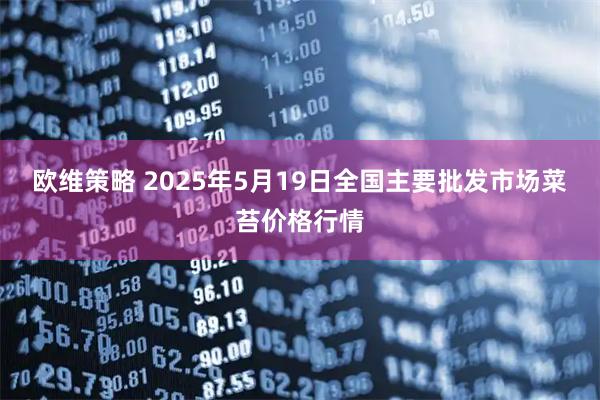 欧维策略 2025年5月19日全国主要批发市场菜苔价格行情