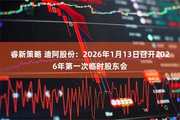 睿新策略 迪阿股份：2026年1月13日召开2026年第一次临时股东会