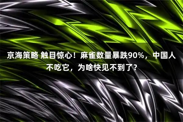 京海策略 触目惊心！麻雀数量暴跌90%，中国人不吃它，为啥快见不到了？